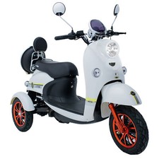 New 3 Wheeled 60V 20AH 800W